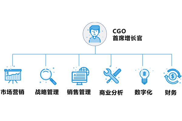 首席增长官需具备的能力